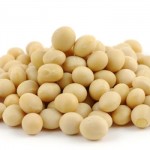 Close up of soy beans in isolated white background