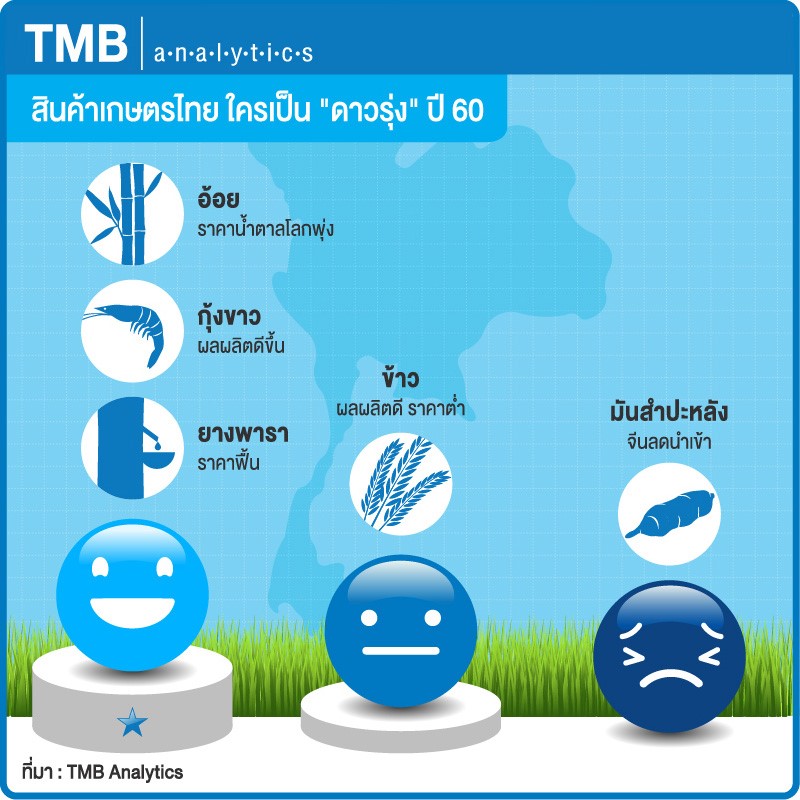 info Graphic_analytic