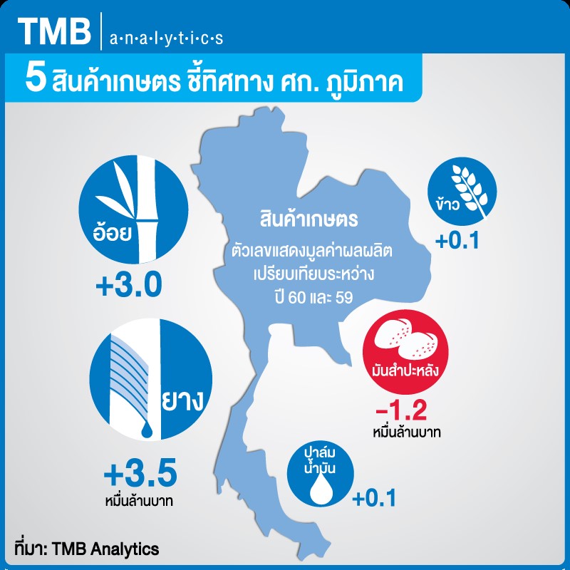 TMB Analytics เผย 5 พืชเศรษฐกิจชี้ทิศทางเศรษฐกิจภูมิภาค