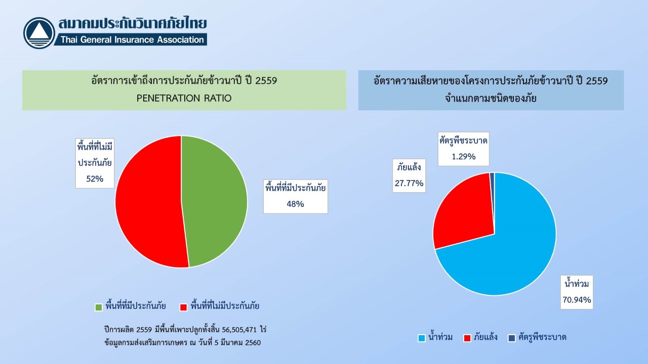 การดำเนินงานโครงการประกันภัยข้าวนาปี ปี 2559