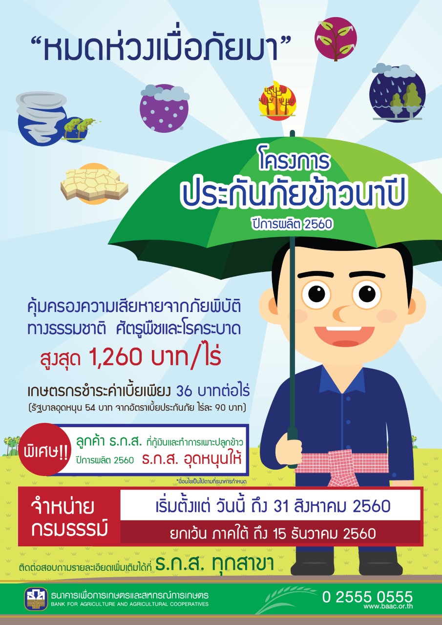 ประกันภัยข้าวนาปี 60