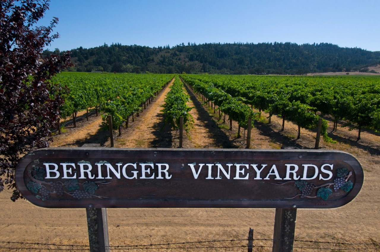 beringer_vineyard_shot