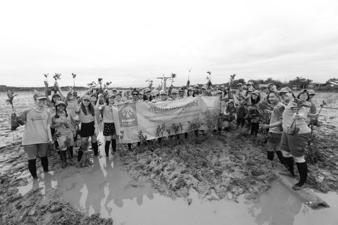 KSC_Mangrove Forest Planting_B