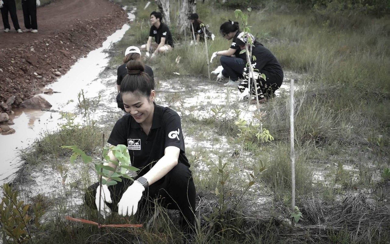 Planting National Tree7